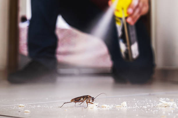 Best Affordable Pest Control Services  in Monmouth Junction, NJ